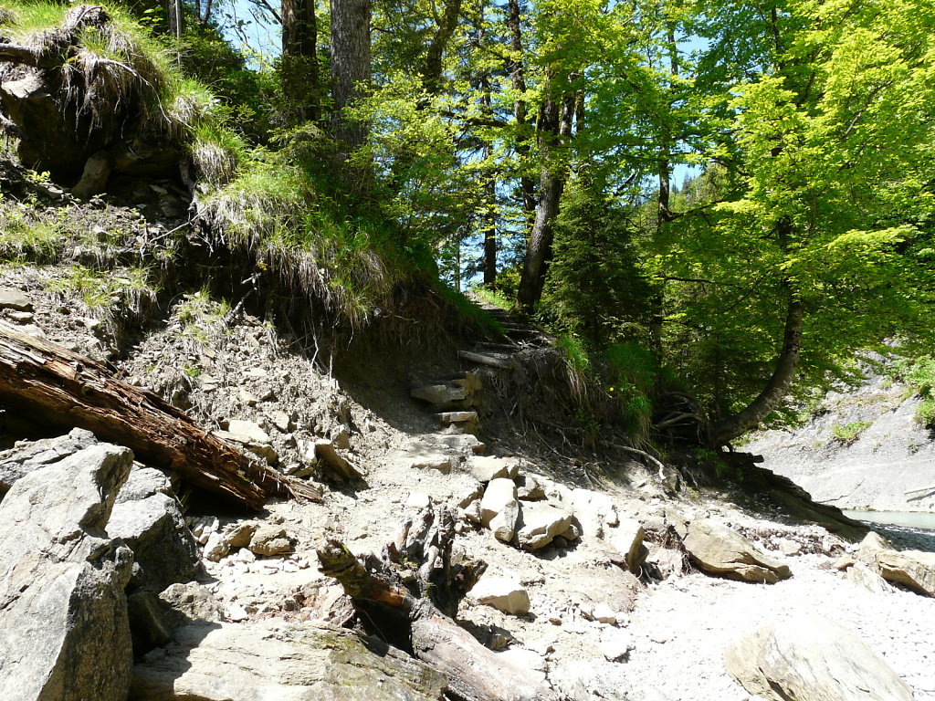 P1080993.JPG